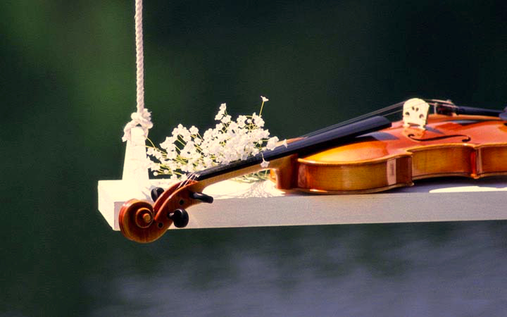 Violin on a Swing BG.jpg