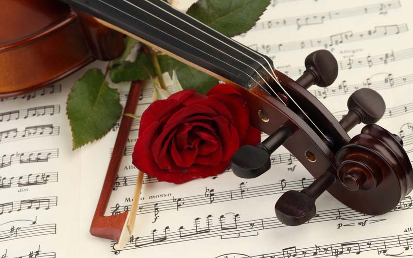 Romantic Violin Background.jpg
